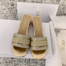 Christian Dior Slippers